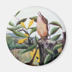 Carolina Wrens and Yellow Jessamine Magnet