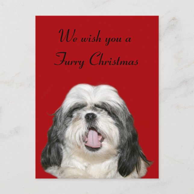 Caroling Christmas Shih Tzu Holiday Postcard (Front)