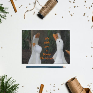 Caroling White Ducks Christmas Holiday Postcard
