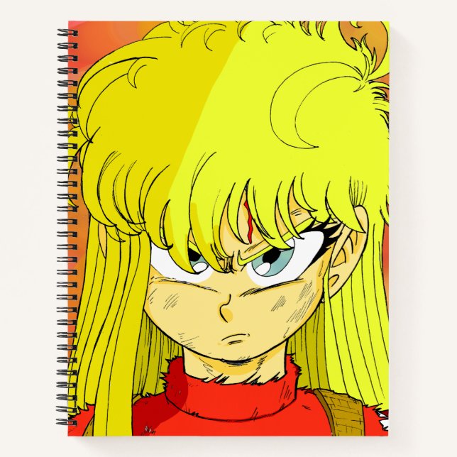 Carol's Abramova (bmc) notebook (Front)