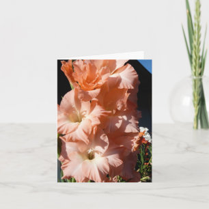 Carol's Gladiola Greeting Card