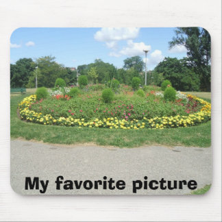 carols pic's1 022, My favourite picture Mouse Pad