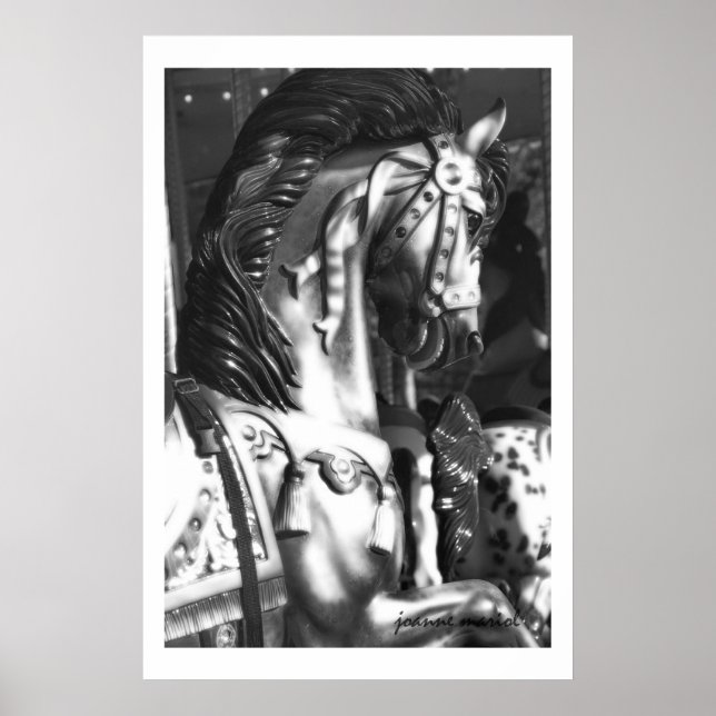 Carousel 22 Poster Print (Front)