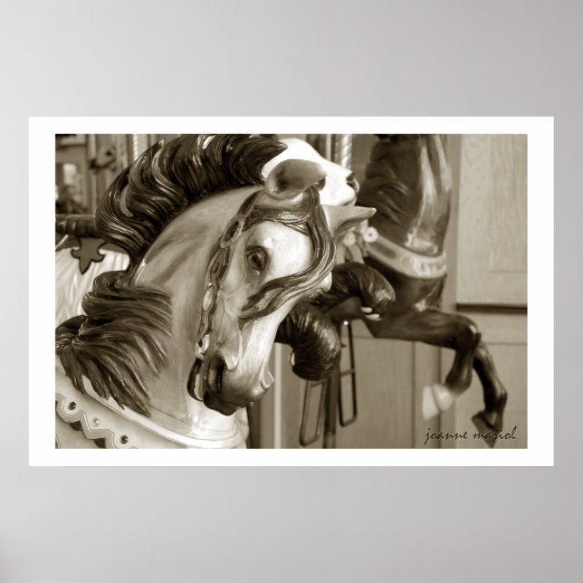 Carousel 40 Poster Print (Front)