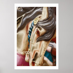 Carousel 53 Poster Print