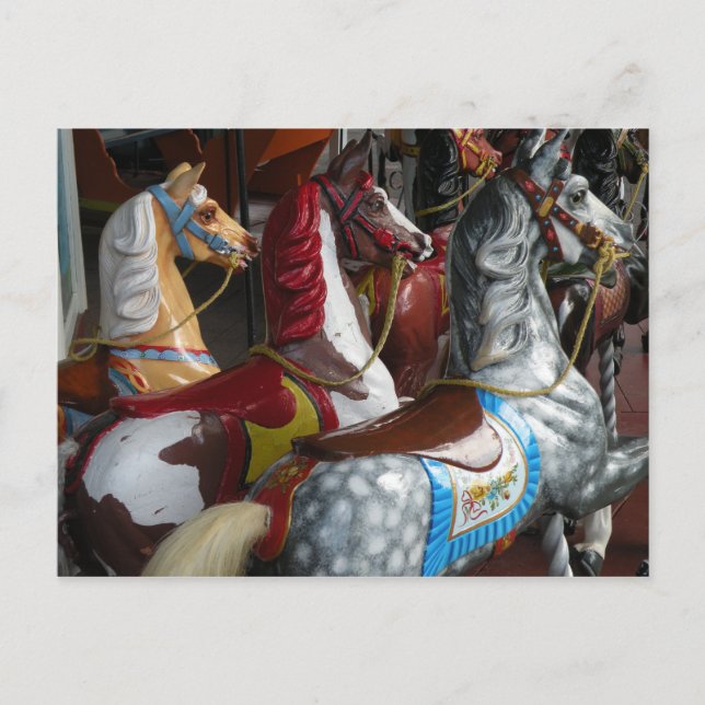 Carousel Horse Postcard (Front)