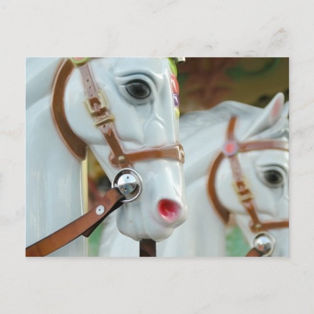Carousel Horses Postcard (Front)