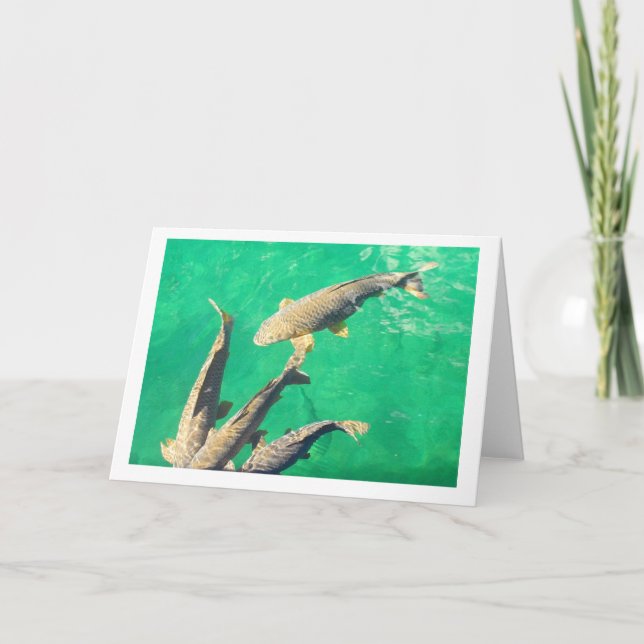 carp card (Front)