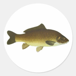 Carp Classic Round Sticker
