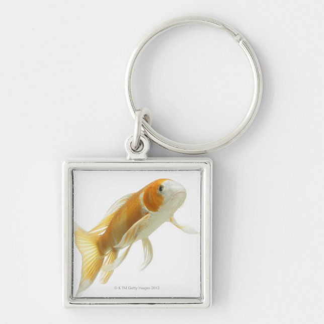 Carp (Cyprinus carpio) Key Ring (Front)