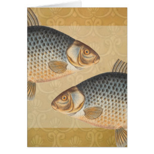 Carp fish fishing painting freshwater