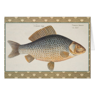 Carp fish fishing painting freshwater