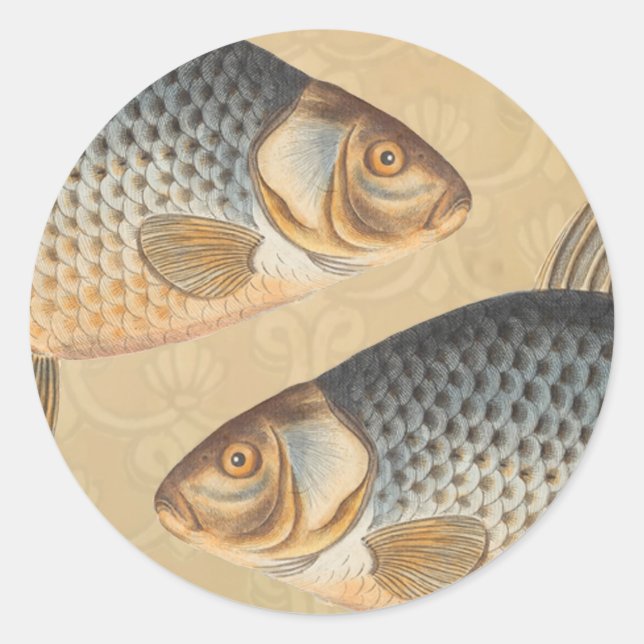 Carp fish fishing painting freshwater classic round sticker (Front)