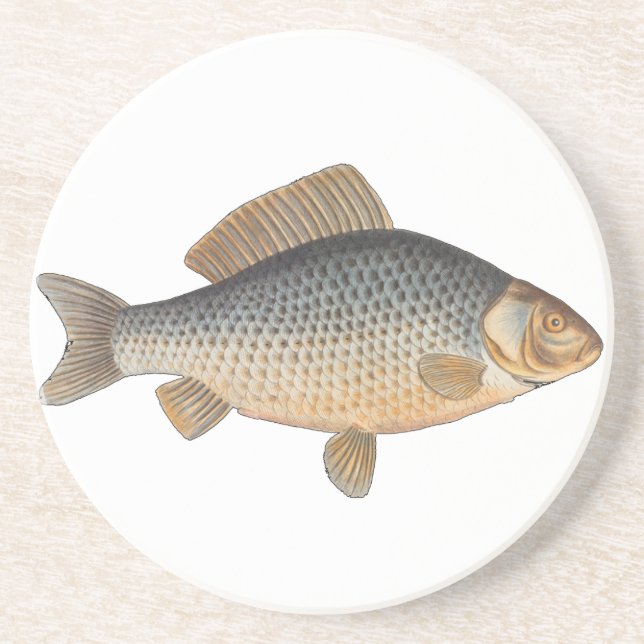 Carp fish fishing painting freshwater coaster (Front)