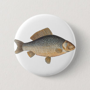 Carp fish fishing painting freshwater drawing 6 cm round badge