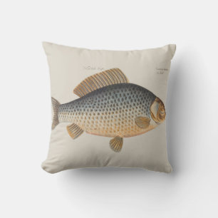 Carp fish fishing painting freshwater drawing  cushion