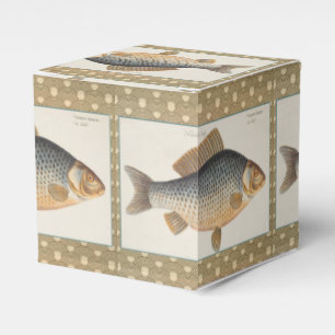 Carp fish fishing painting freshwater drawing favour box