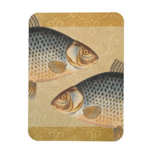 Carp fish fishing painting freshwater drawing magnet
