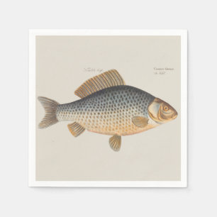 Carp fish fishing painting freshwater drawing  napkin