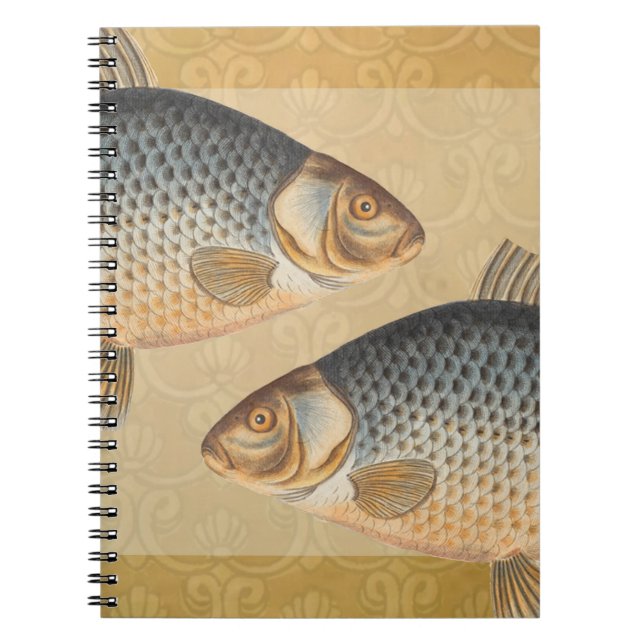 Carp fish fishing painting freshwater drawing  notebook (Front)