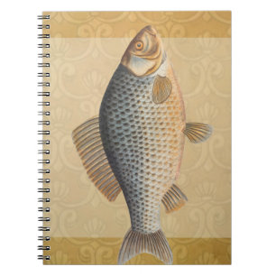 Carp fish fishing painting freshwater drawing notebook