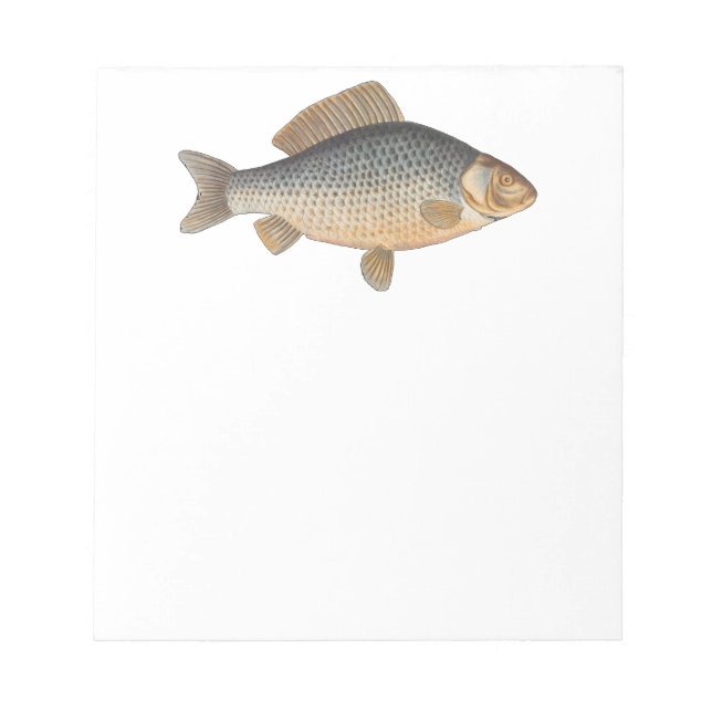 Carp fish fishing painting freshwater drawing  notepad (Front)