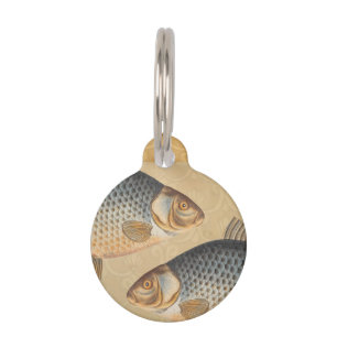 Carp fish fishing painting freshwater drawing pet tag