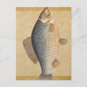 Carp fish fishing painting freshwater drawing postcard