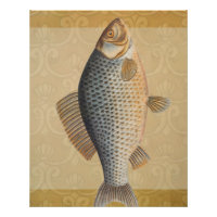Carp fish fishing painting freshwater drawing 