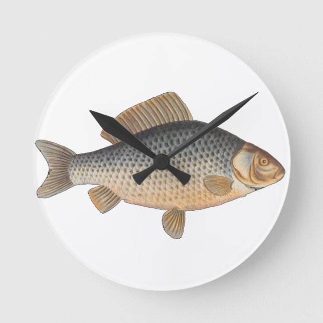 Carp fish fishing painting freshwater drawing  round clock (Front)