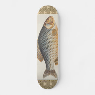 Carp fish fishing painting freshwater drawing skateboard