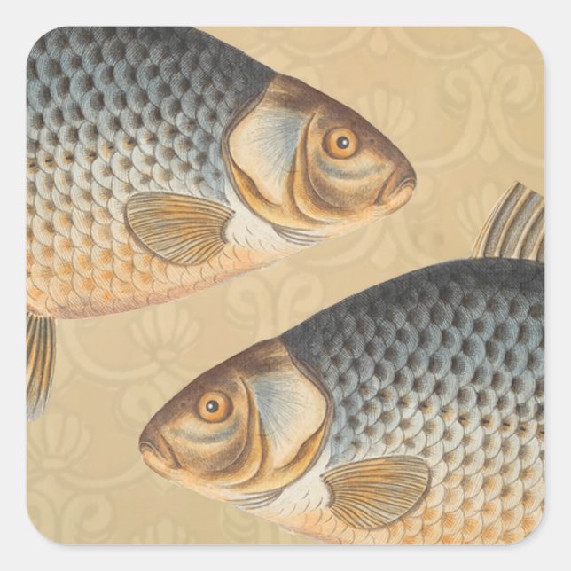 Carp fish fishing painting freshwater drawing  square sticker (Front)