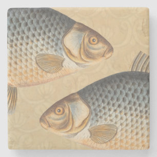 Carp fish fishing painting freshwater drawing stone coaster