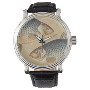 Carp fish fishing painting freshwater drawing watch