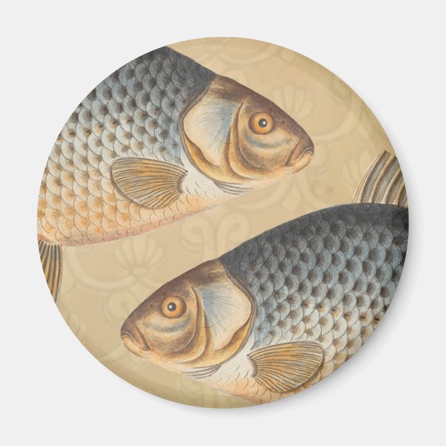 Carp fish fishing painting freshwater magnet (Front)
