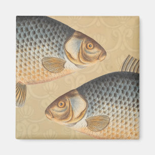 Carp fish fishing painting freshwater magnet