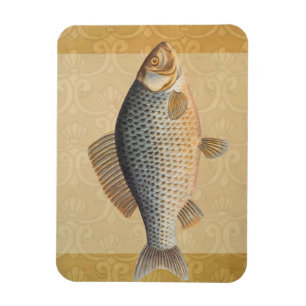 Carp fish fishing painting freshwater magnet