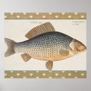 Carp fish fishing painting freshwater poster