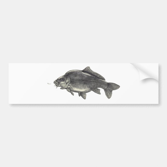 Carp Fishing Bumper Sticker (Front)