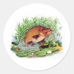 Carp Fishing Classic Round Sticker