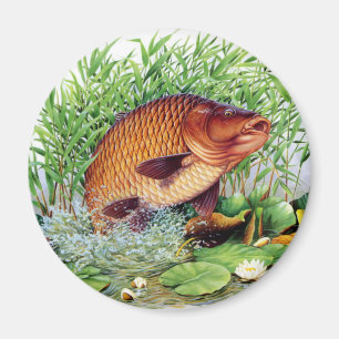 Carp Fishing Magnet