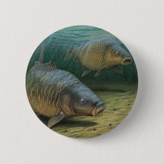 Carp Fishing Two Carp 6 Cm Round Badge