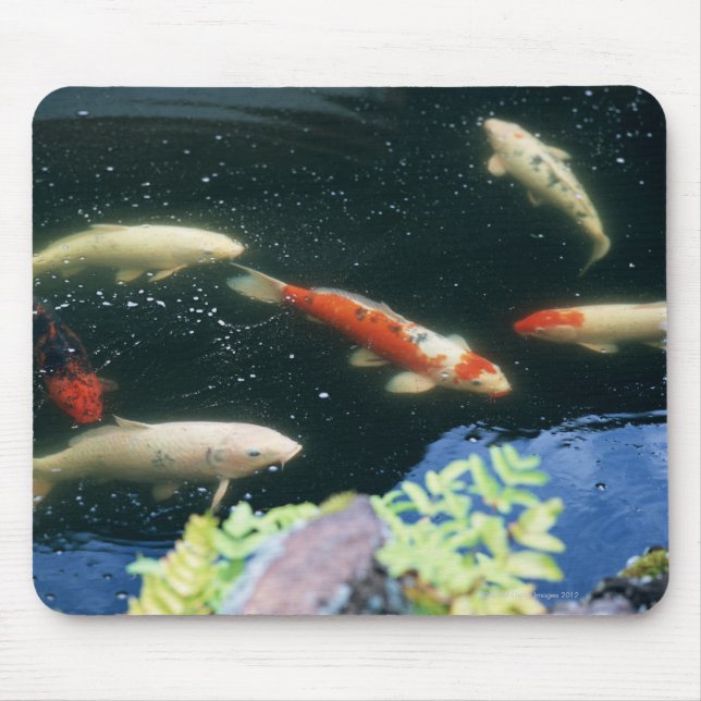 Carp Mouse Pad (Front)