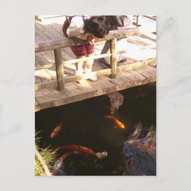 Carp pond postcard (Front)