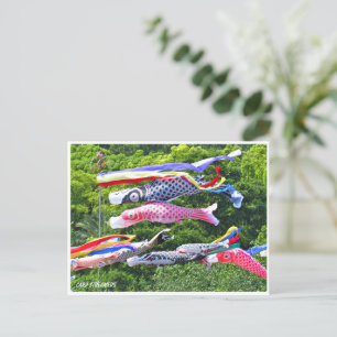 Carp Streamers Postcard