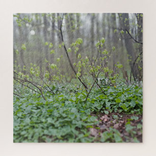 Carpathian Forest Floor Romania Nature Photograpy Jigsaw Puzzle