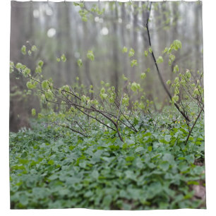 Carpathian Forest Floor Romania Nature Photograpy Shower Curtain