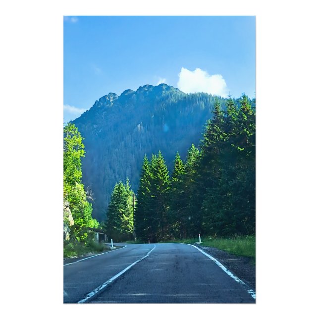 Carpathian Forest Road – Romania Mountain Print (Front)