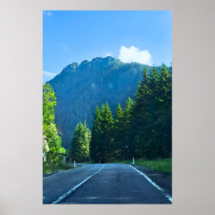 Carpathian Forest Road – Romania Mountain Print