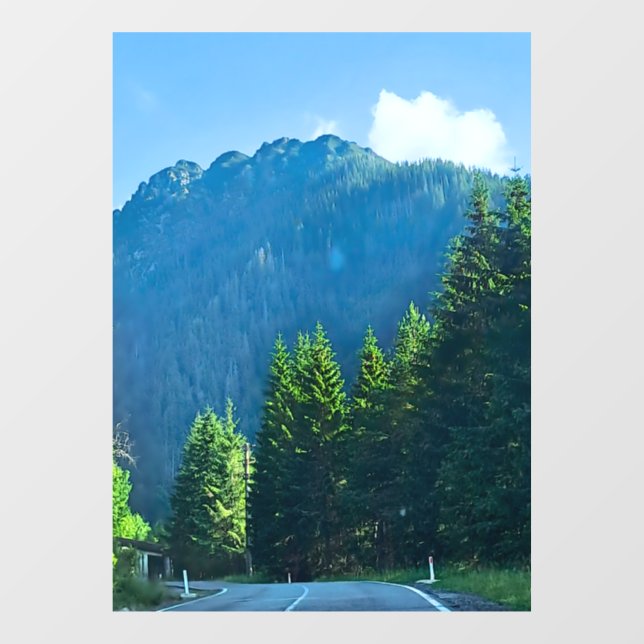 Carpathian Forest Road – Romania Mountain Print (Sheet)